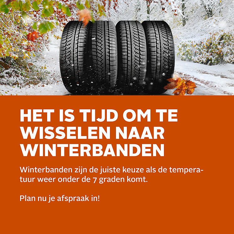 Carteam Garage De Waard